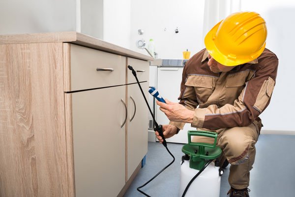 Termite Inspections